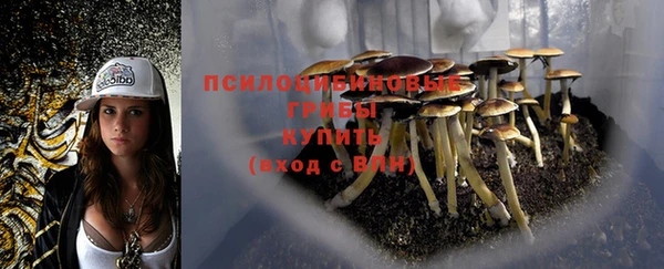 прущая мука Балабаново